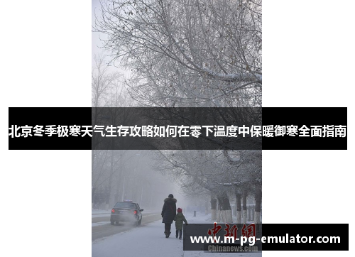 北京冬季极寒天气生存攻略如何在零下温度中保暖御寒全面指南 北京冬季极寒天气生存攻略如何在零下温度中保暖御寒全面指南