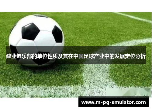 建业俱乐部的单位性质及其在中国足球产业中的发展定位分析