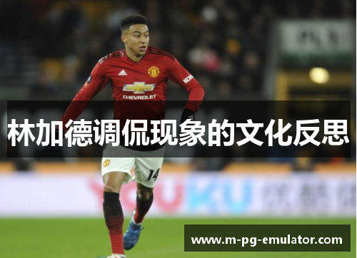 林加德调侃现象的文化反思 林加德调侃现象的文化反思